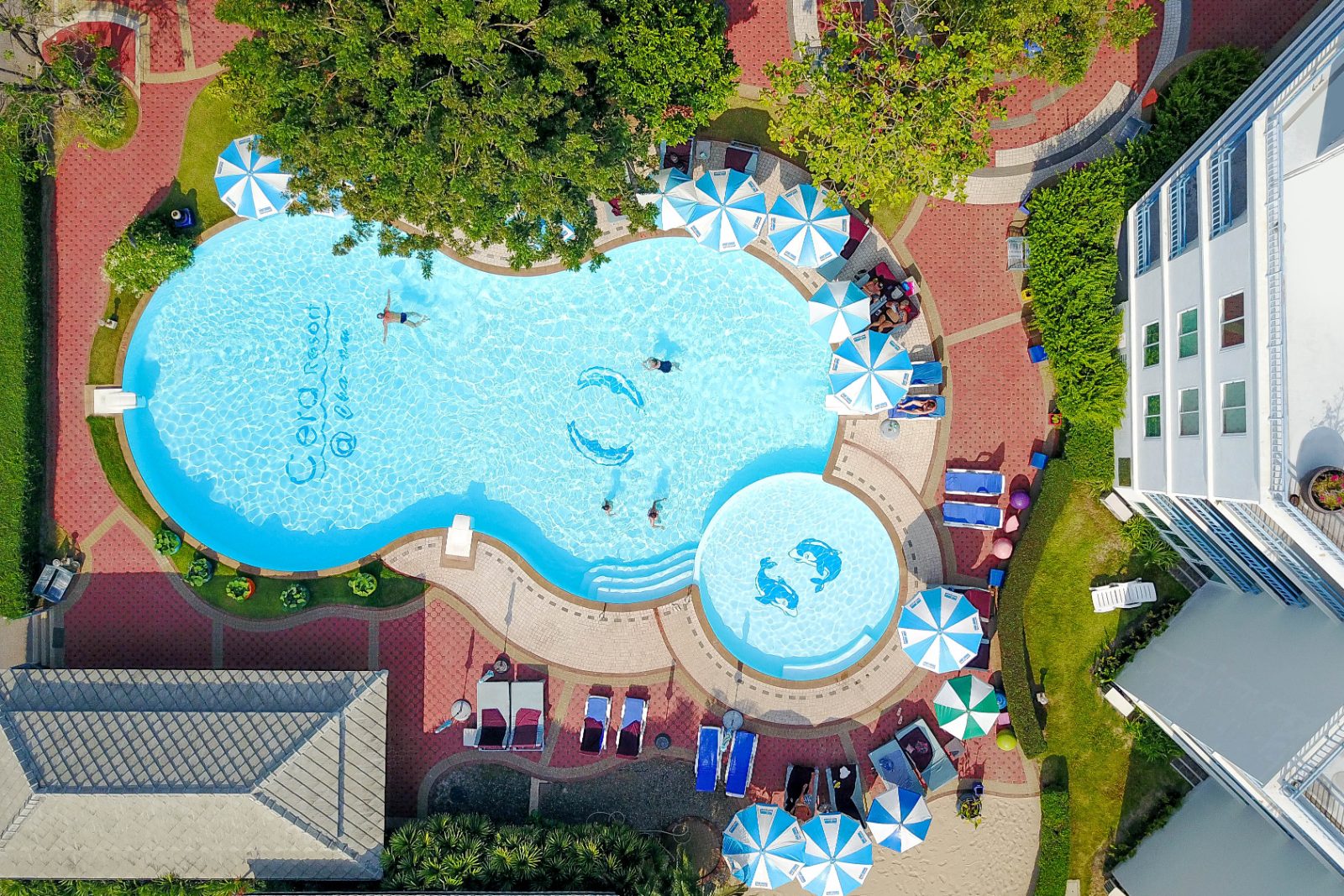 Free-form pool with dolphin mosaics